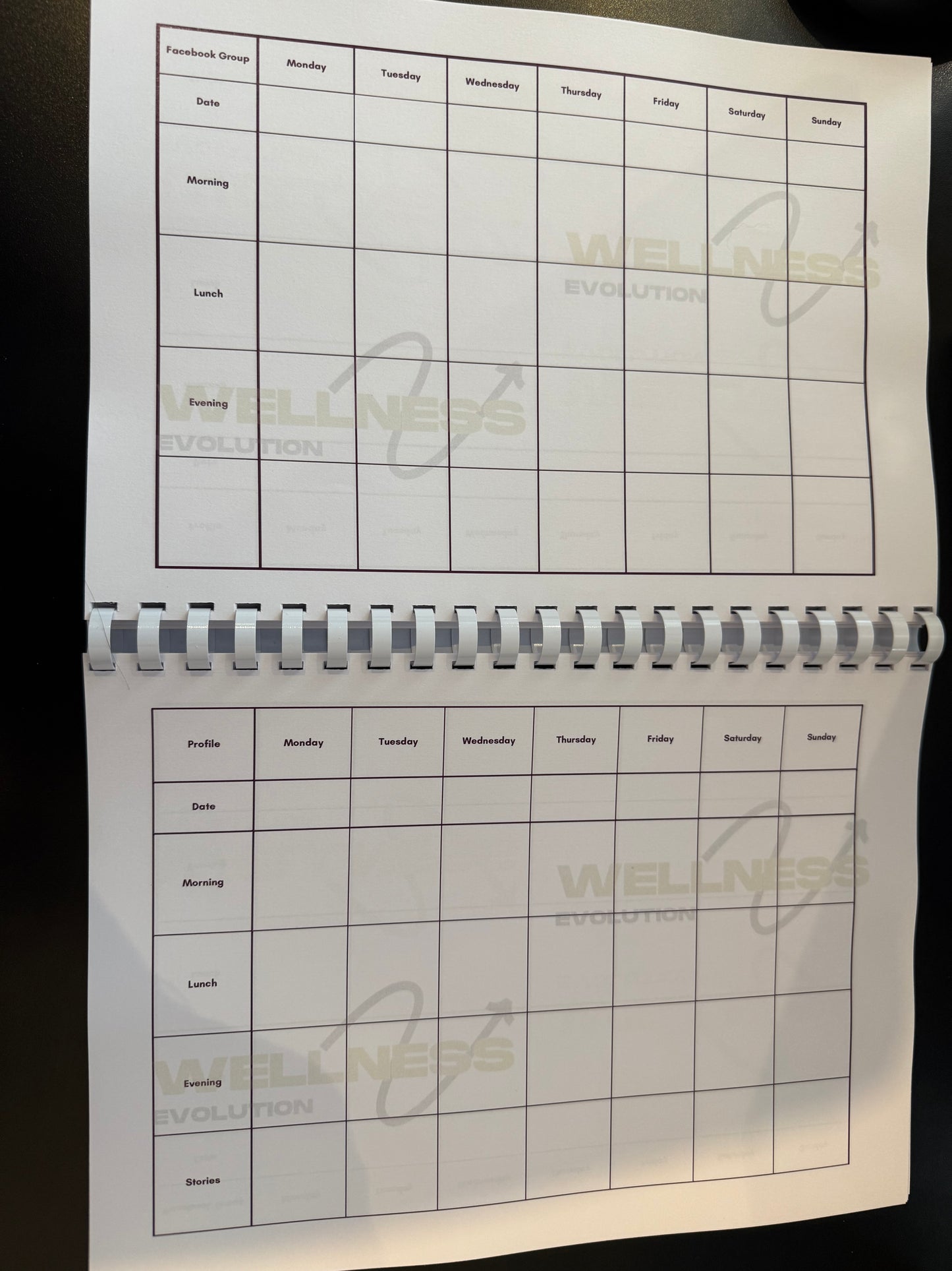 Wellness Evolution Content Planning Book