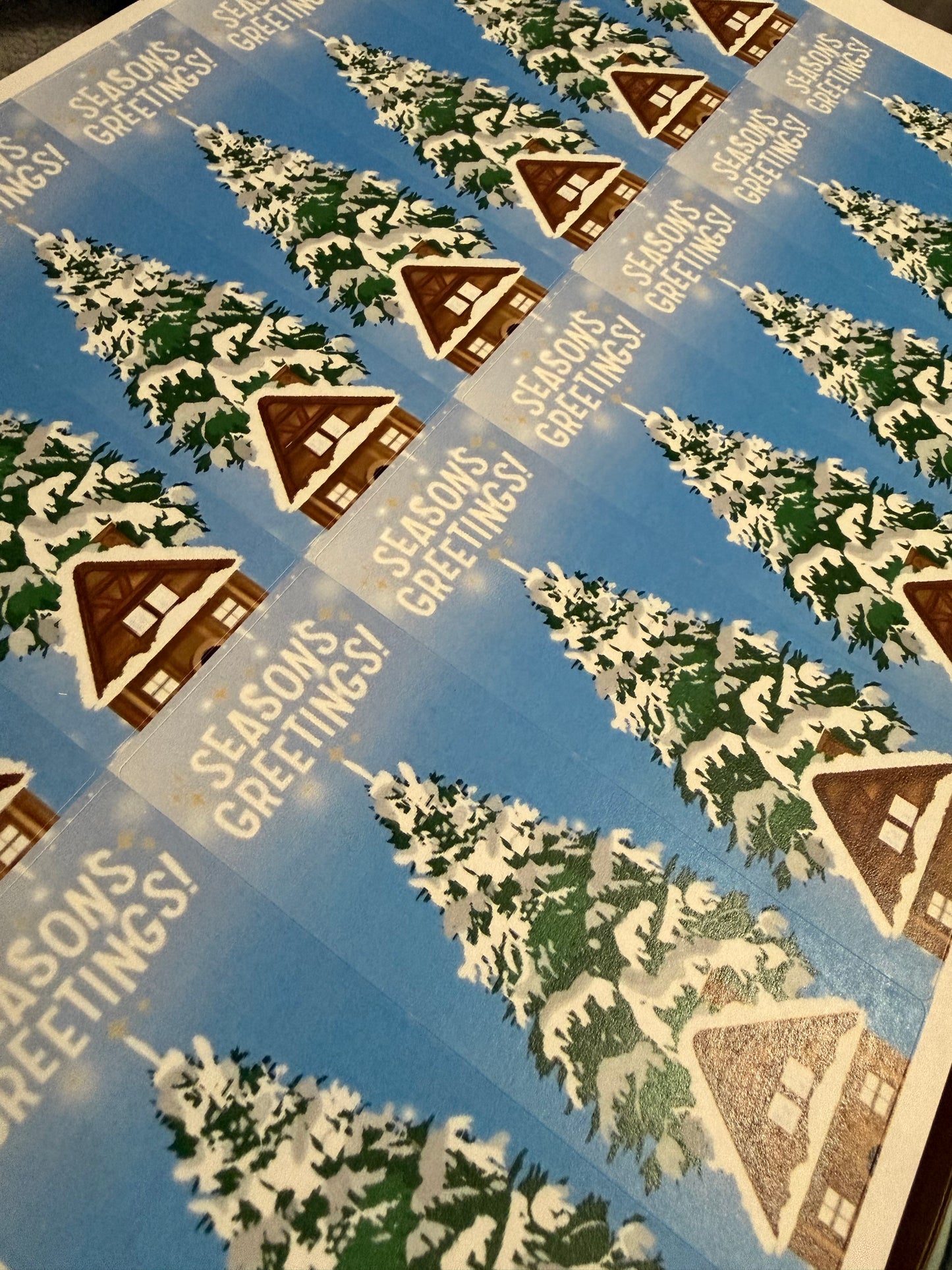 Seasonal Box Seals
